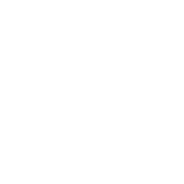 Brackets de Autoligado